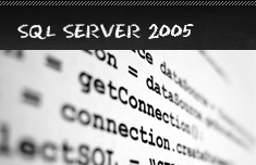 seo training course